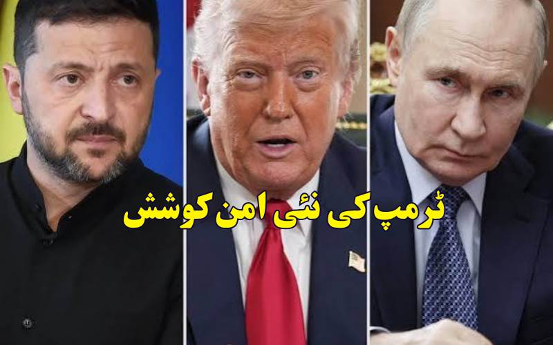 پوتن اور زیلینسکی میں کشیدگی کے درمیان ٹرمپ کی نئی امن کوشش